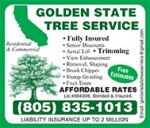 Golden-State-Tree-EP14.jpg