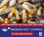 Brezden-Pest-Control-002.png
