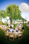 all about events - wedding rentals san luis obispo -globe light.jpg