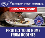 brezden-pest-control-rodent-august-2023.png