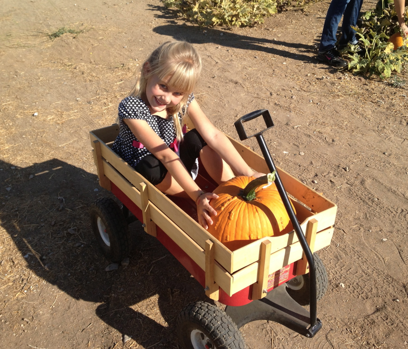 Take a ride through the pumpkin patch