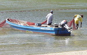 Panga Boat