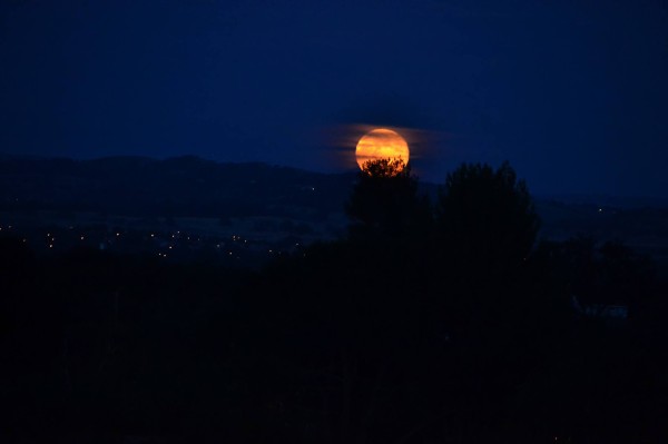 moon over paso robles