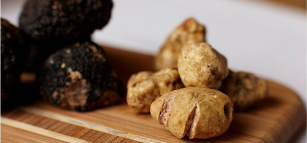 truffles paso robles