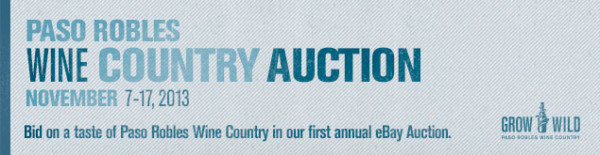 eBay-Auction_eBlast-Header_635x165