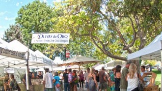 Olive Festival, Paso Robles