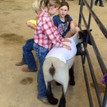 California Mid-State Fair Junior Livestock Auction