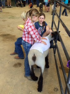 California Mid-State Fair Junior Livestock Auction
