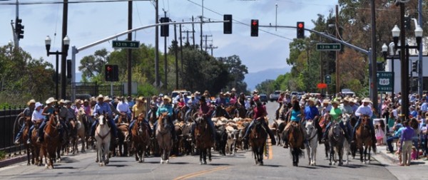 Cowboys, cattle, crowds and more kick off the opening day of the 2014 California Mid-State Fair. Photo by Meagan Friberg