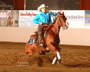 National Stock Horse Association Paso Robles