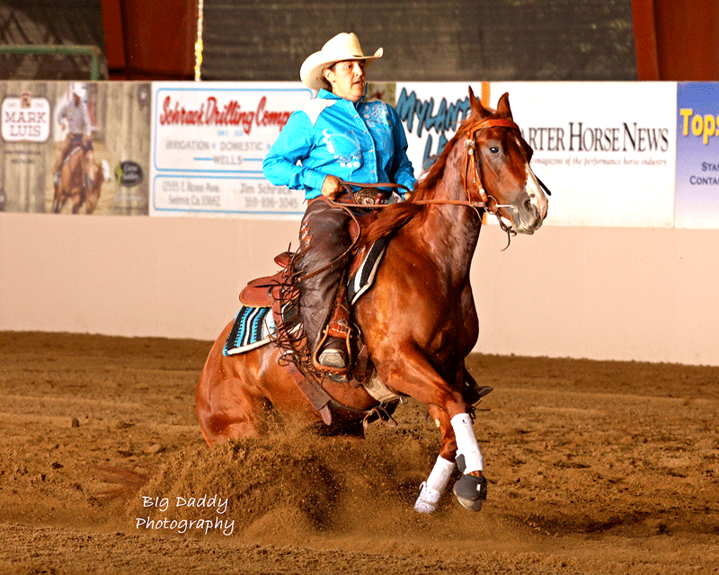 National Stock Horse Association Paso Robles