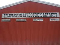 Templeton Livestock Market