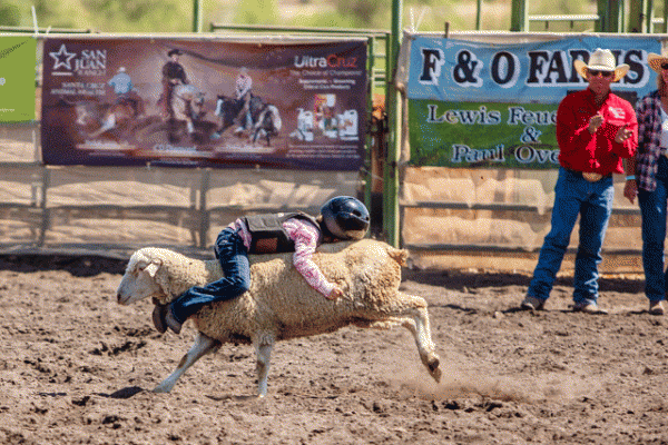 Creston Class Rodeo mutton bustin'