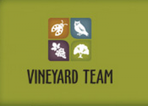 Vineyard Team