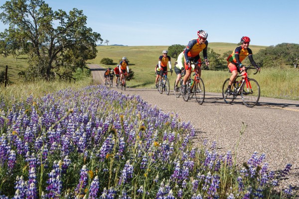 Riders participate in the 7th Annual Tour of Paso cycling event. Courtesy photo.