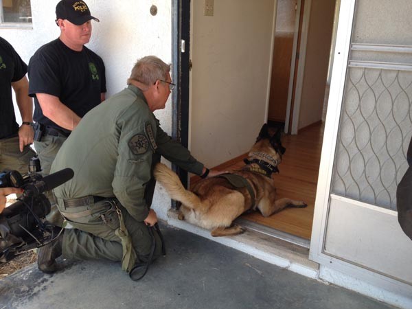 San Luis Obispo County Sheriff's K9 "Jacco" and his handler Deputy John Franklin shout commands to the "suspect" that's been located inside a home. Photo courtesy of SLO County Sheriff. 