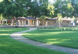 Come an enjoy the new, beautifully landscaped grounds at RiverStar Vineyards. 