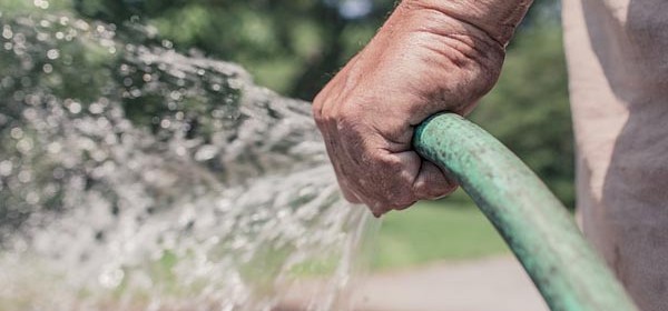 Watering restrictions not required this summer in Paso Robles