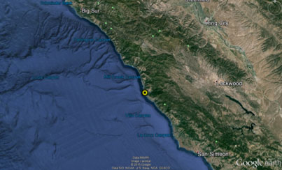 Current location of a 16-foot great white shark named Annika.
