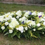 Death notices for June 28