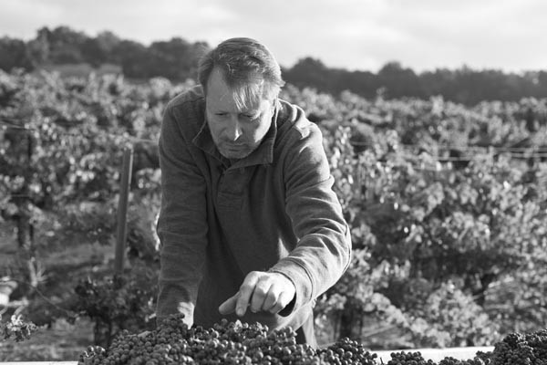 Brecon Estate Winemaker/Owner Damian Grindley. Courtesy photo.
