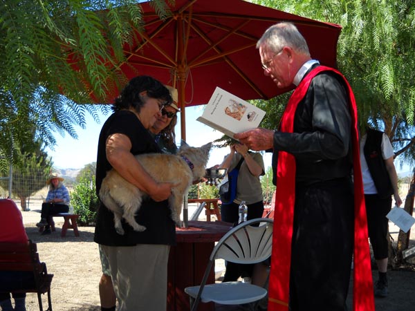 blessing of the animals