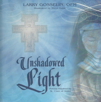 Unshadowed Light book 
