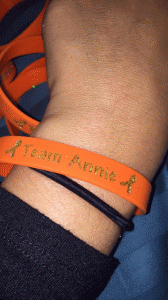 Team-Annie-bracelet