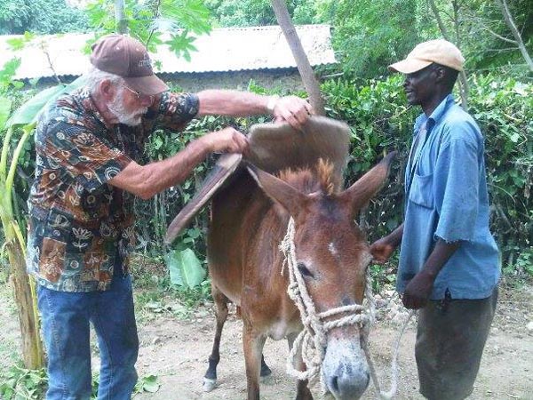Dr. Gordon fitting a donkey with a saddle pad in Haiti.
