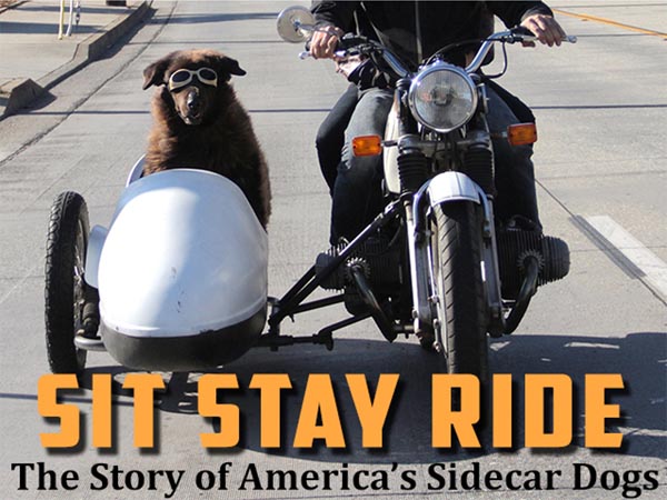 Sit Stay Ride