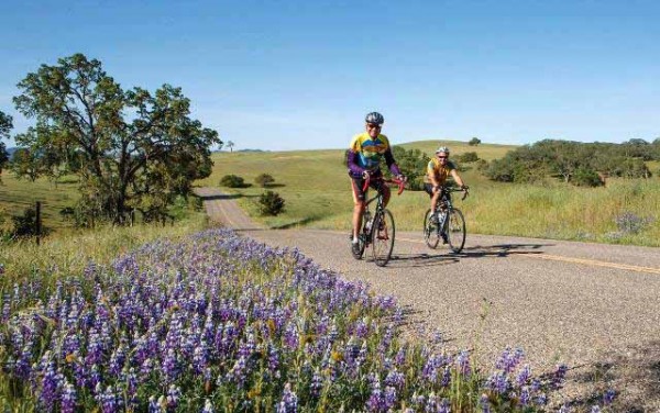 wildflower bike ride