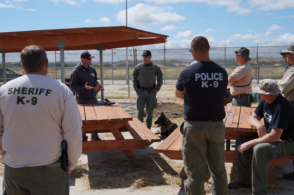 Sheriffs K9 Units Train Like A Seal Paso Robles Daily News 