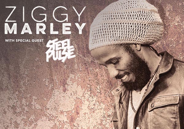 Ziggy Marley vina robles