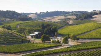 Paso Robles Wine Country Alliance