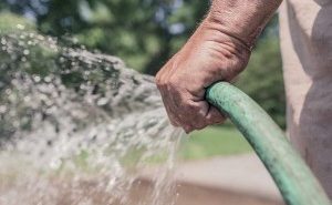 Watering restrictions not required this summer in Paso Robles