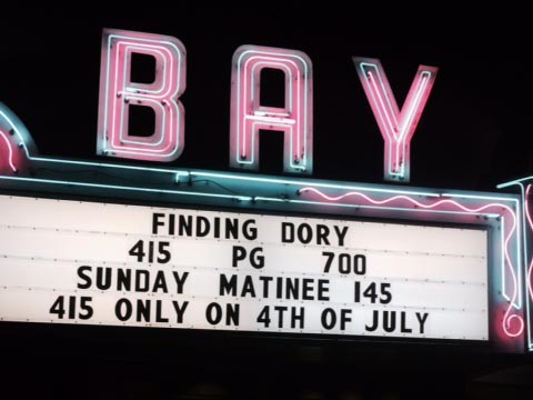 Finding dory morro bay