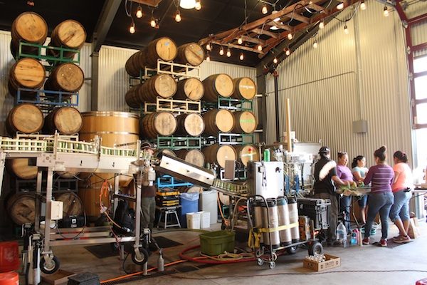 Tin City Cider Company is located at 3005-A Limestone Way in Paso Robles. The tasting room is open Mon-Thurs 1-7pm, Fri-Sat 1-8pm and Sundays 11 a.m.- 5 p.m.