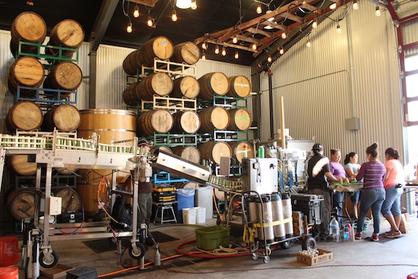 Tin City Cider opens in Paso Robles Tin City Cider opens in Paso Robles