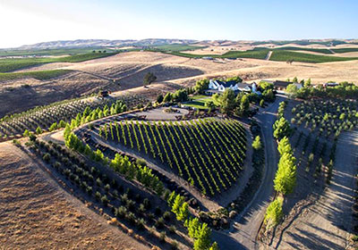 The Rockin' K Ranch includes vineyards planted in a heart shape for his wife, Laura.