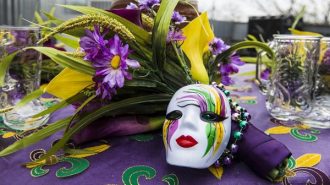 Mardi Gras fundraiser planned at Pavilion on the Lake