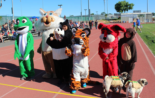 Mascots-get-ready-to-race