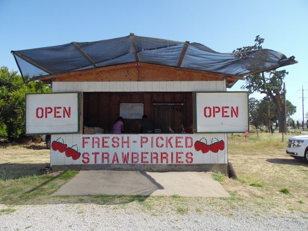 Community support gains family farm stand four more months.