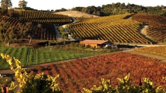 Tablas Creek named to 'Top 100 Wineries in the World' list