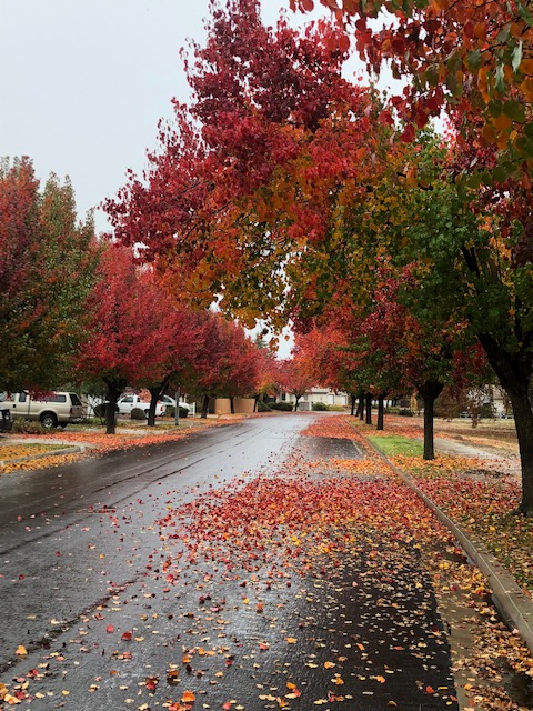 Paso Robles may receive up to 2-4-inches of rain with storm system ...