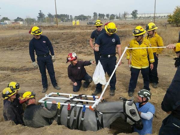Large animal rescue training held near Paso Robles Airport - Paso Robles  Daily News