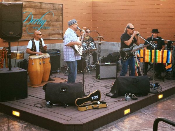 winery musician in paso robles