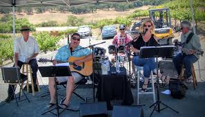 winery musician in paso robles
