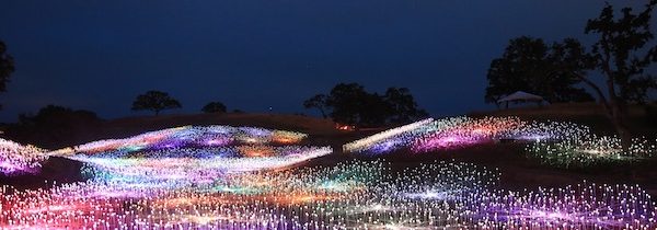 Sensorio field of lights Paso Robles