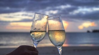 best wines for summer