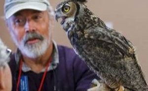 Chris Cameron will give a presentation about owls at the Paso Robles library